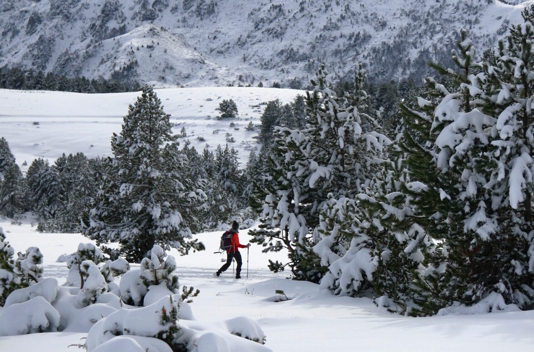 prepare to ski